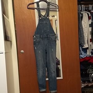 Levi's Overalls